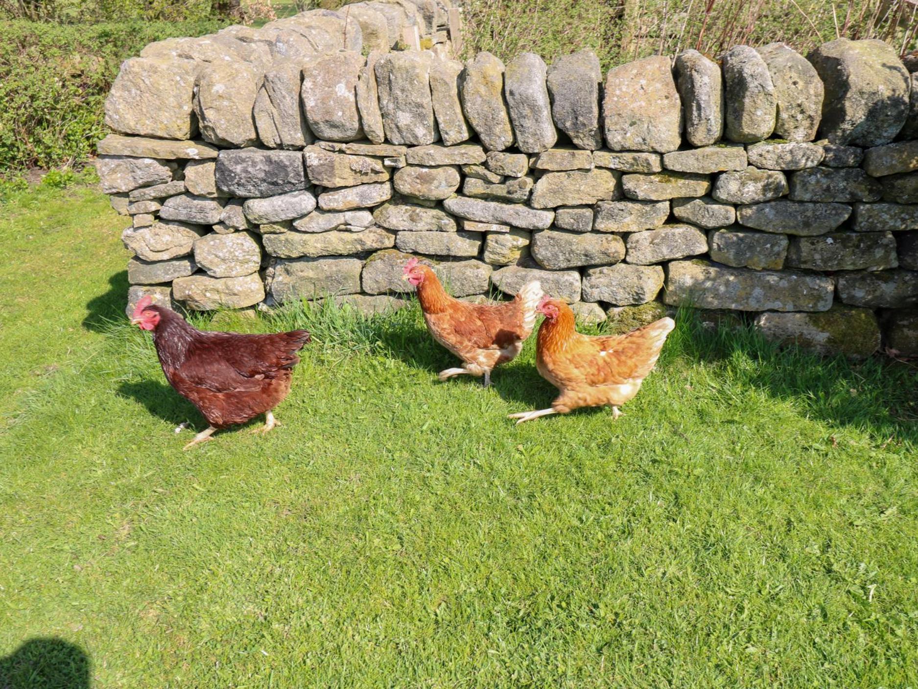The Barn At Heath Hall Farm Sowerby Bridge Exterior foto